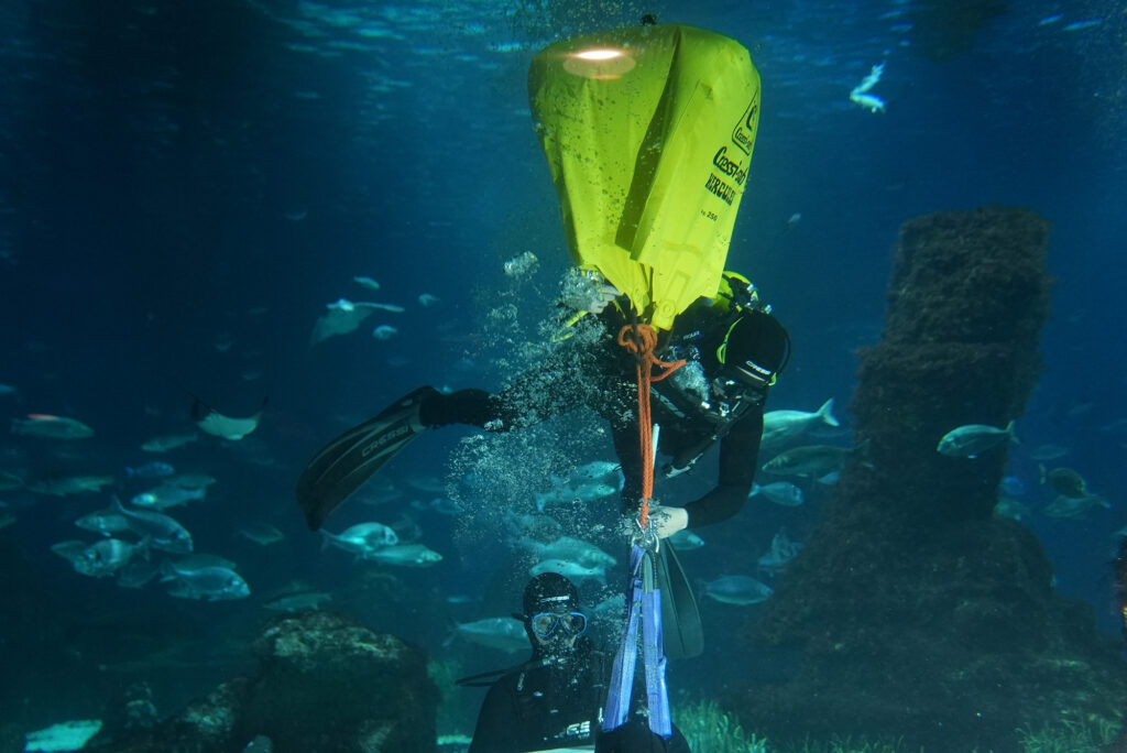 Un buzo en el acuario grande de Barcelona, rodeado de biodiversidad