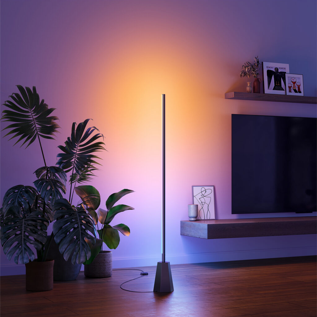 Indoor Floor Lamp E10