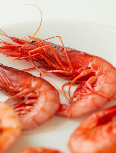 Gamba de Vilanova a la plancha del Platillu de Vilanova