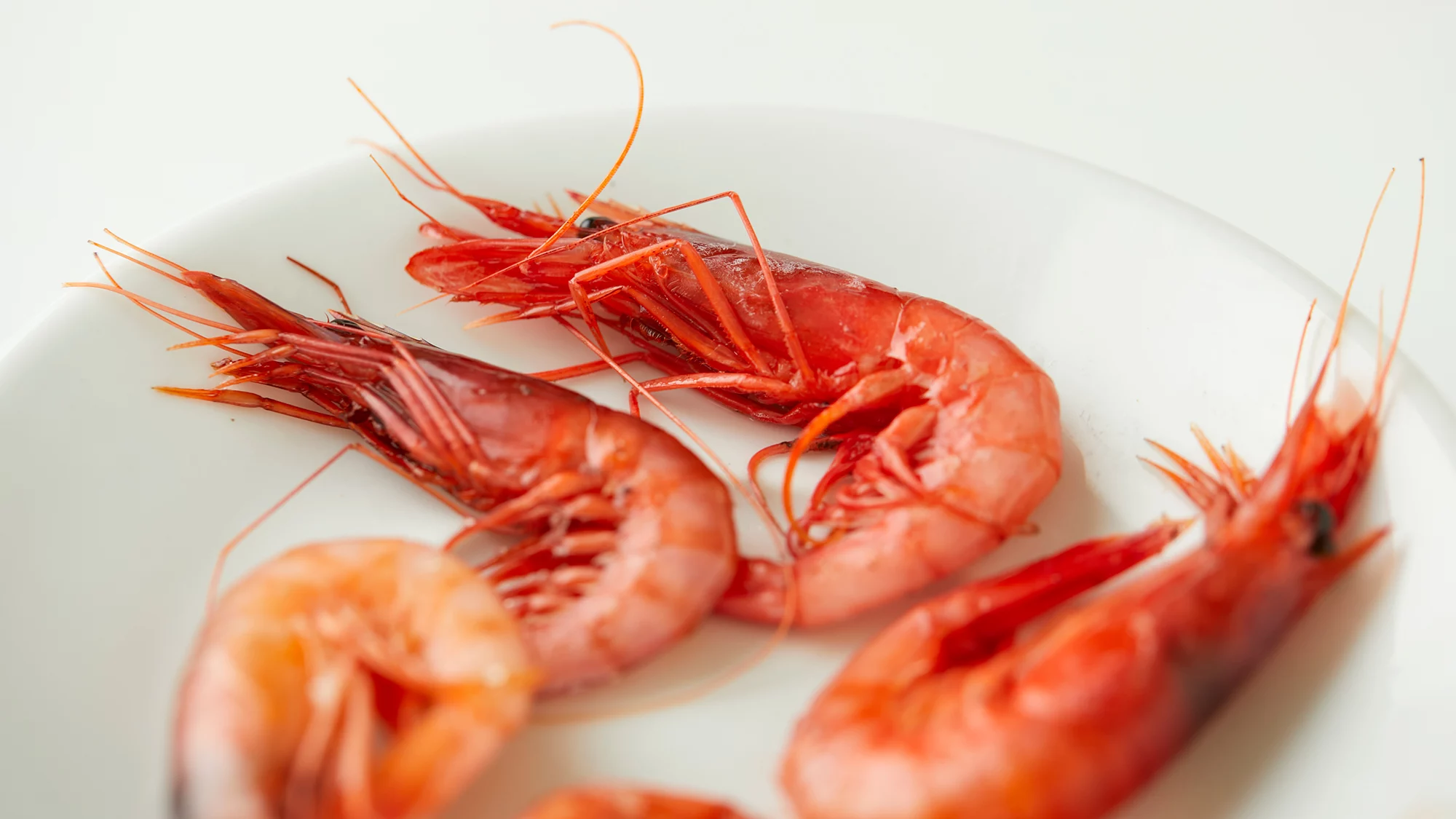 Gamba de Vilanova a la plancha del Platillu de Vilanova