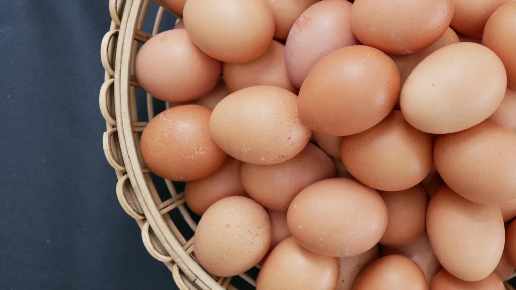 Vista de unos huevos ecológicos de Cal Cubilà