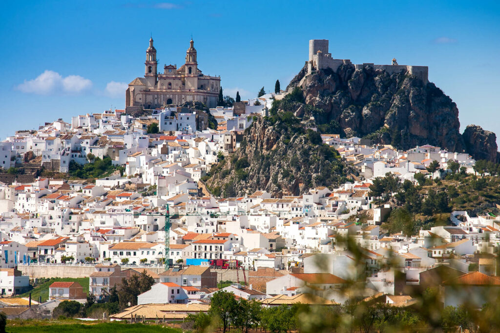 Vista de la preciosa ciudad de Olvera (Cádiz)