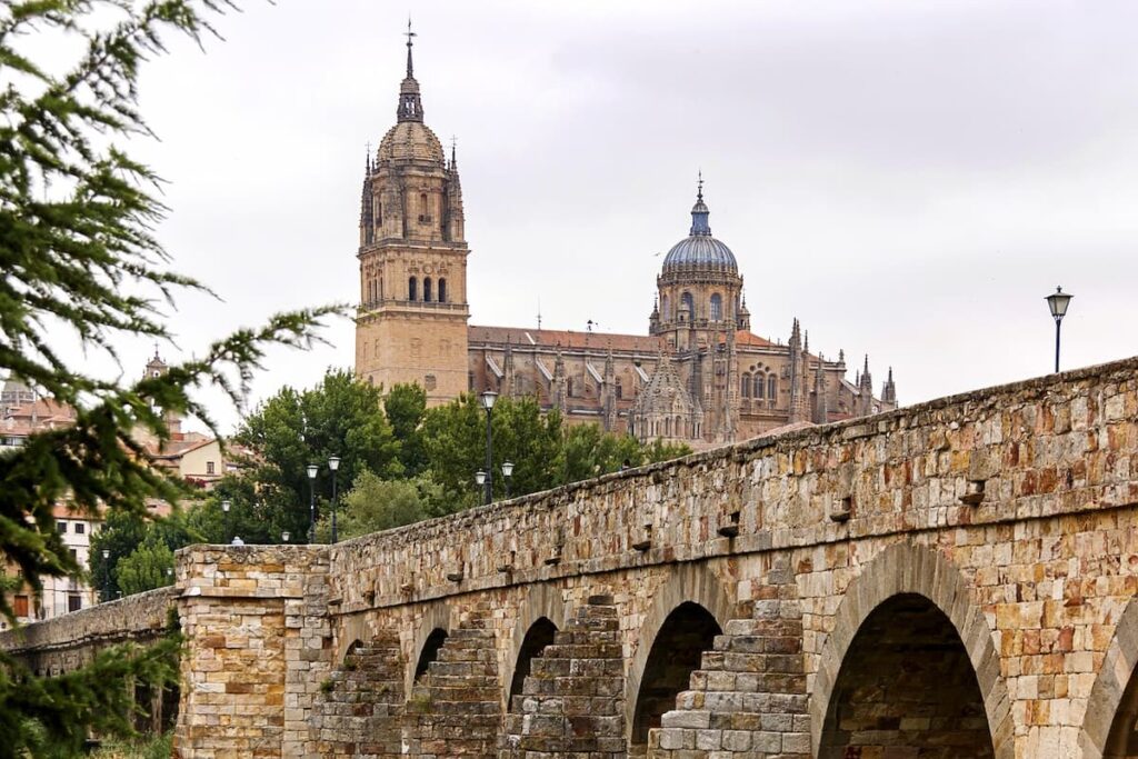 Vista del puente de Salamanca