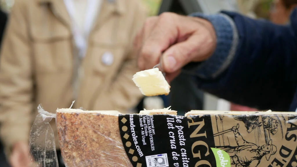 Corte de degustación de queso de Quesos Ermengol