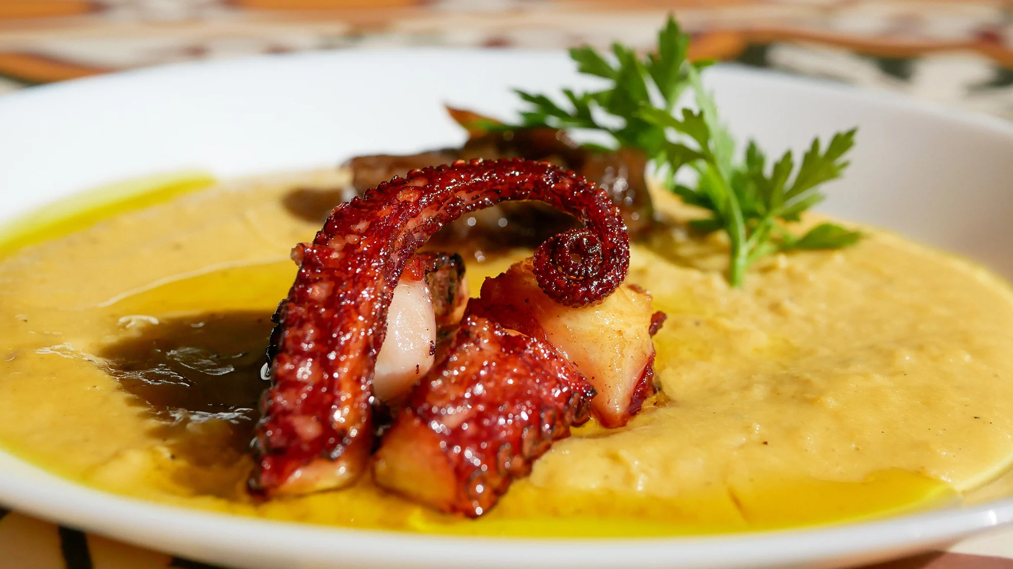 EL MAGRANER BOIG | Pulpo con “Fava” y cebolla caramelizada