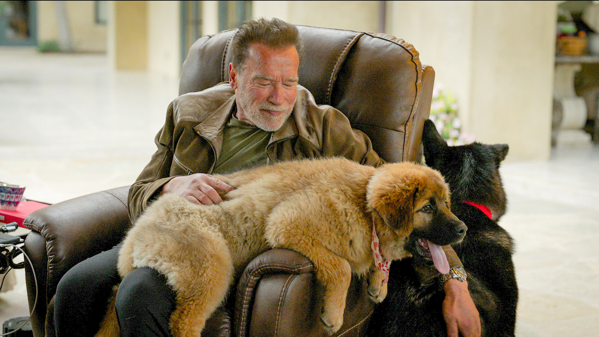 Arnold Schwarzenegger en un frame de "Arnold" de Netflix