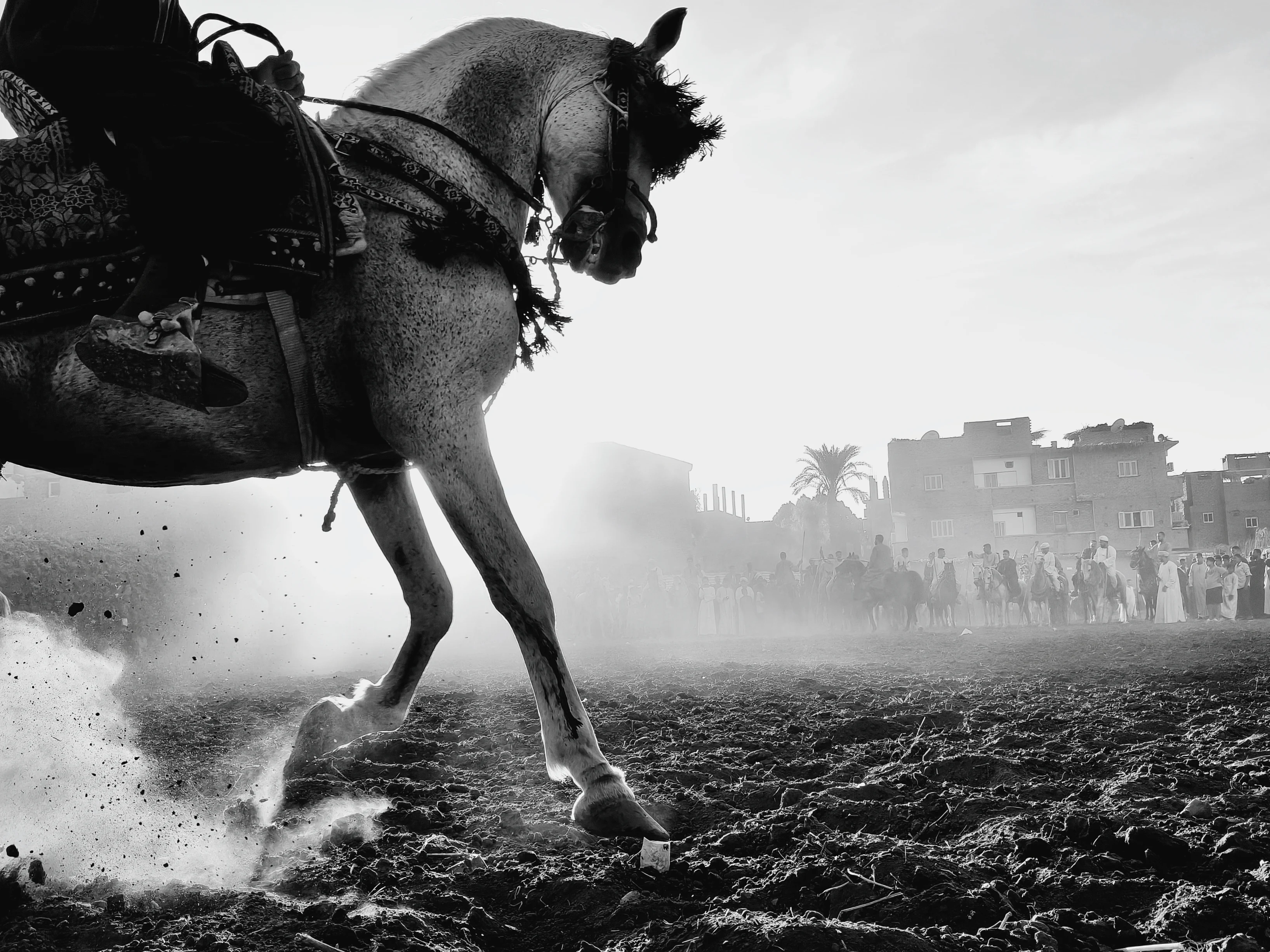 Timeless Framing de Abdullah Salah (Egipto)