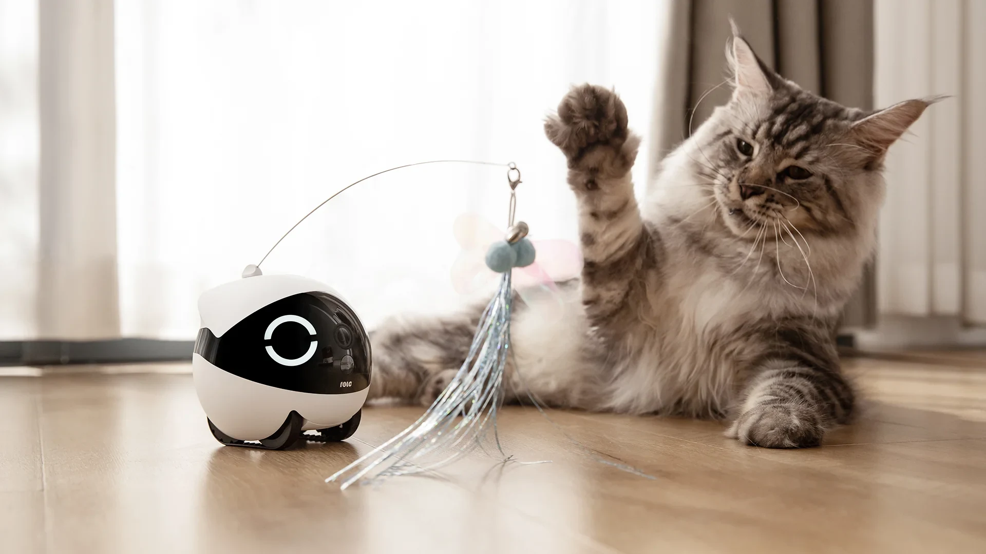 Imagen del ROLA Mini Companion Robot interactuando con un gato doméstico