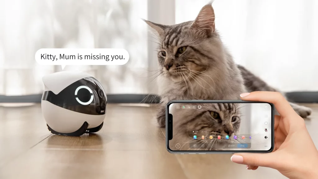 Imagen del ROLA Mini Companion Robot interactuando con un gato doméstico