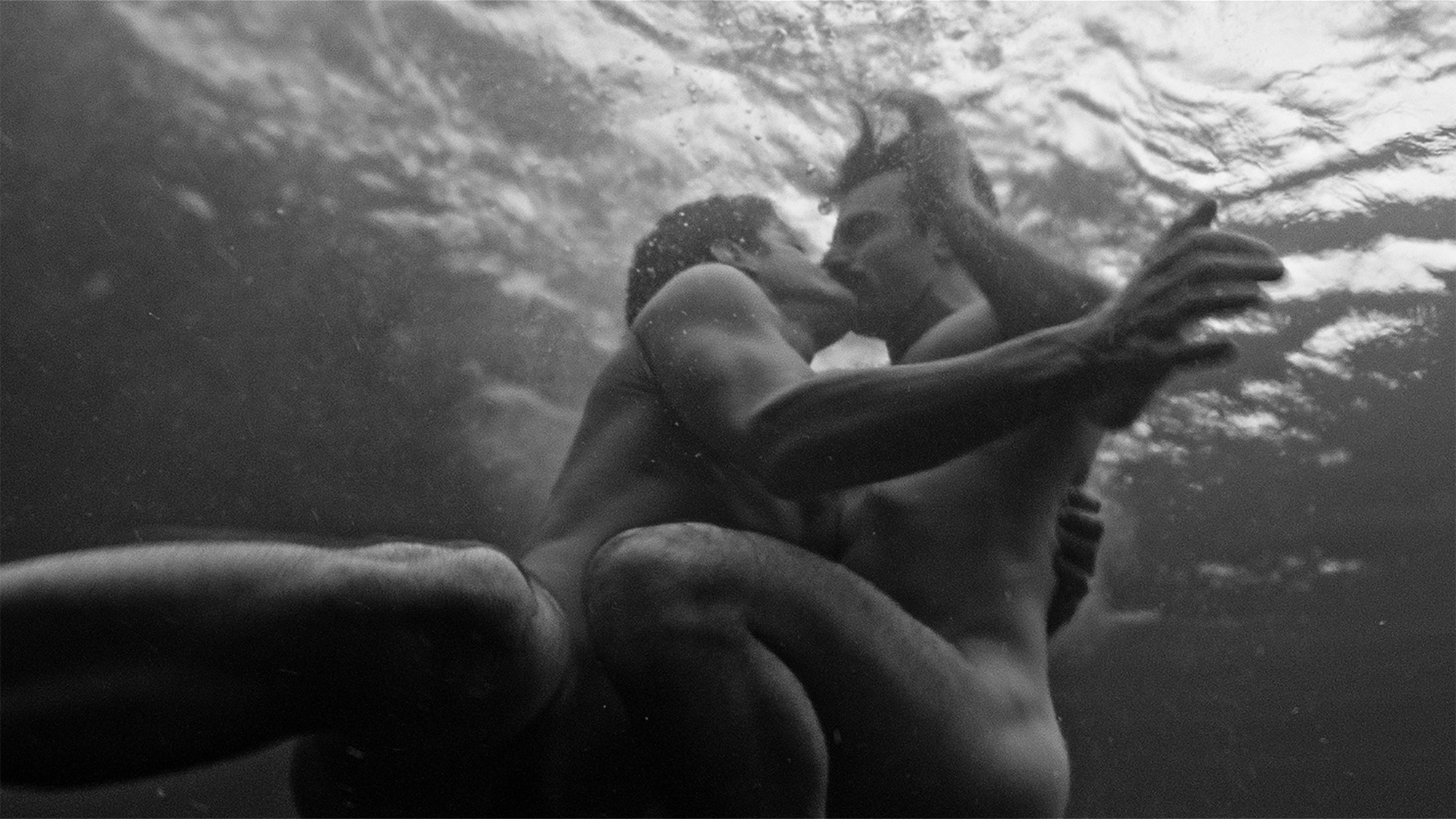 La imagen gráfica ha sido creada por el director y fotógrafo libanés Hadi Moussally