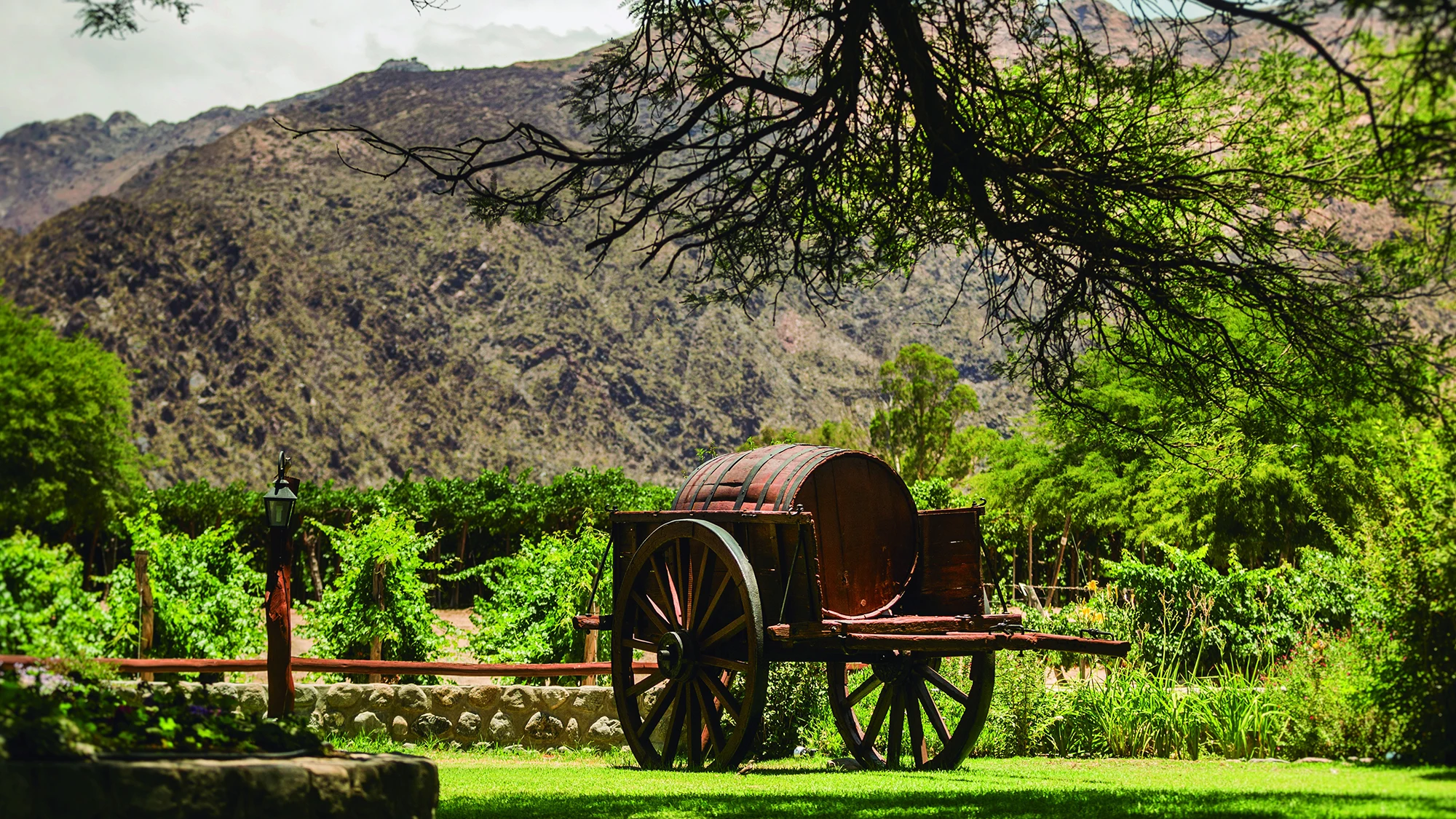 Carro tradicional de transporte de vino