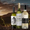 Fotomontage de presentación de tres vinos blancos de procedencia argentina, de izquierda a aderecha: Cordero con piel de lobo Chardonnay, Perro Callejero Sauvignon blanc y Cafayate Torrontés Varietal