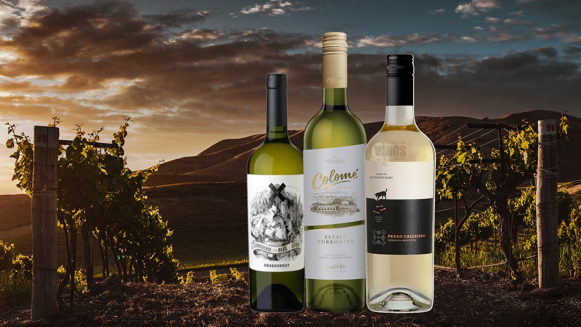 Fotomontage de presentación de tres vinos blancos de procedencia argentina, de izquierda a aderecha: Cordero con piel de lobo Chardonnay, Perro Callejero Sauvignon blanc y Cafayate Torrontés Varietal
